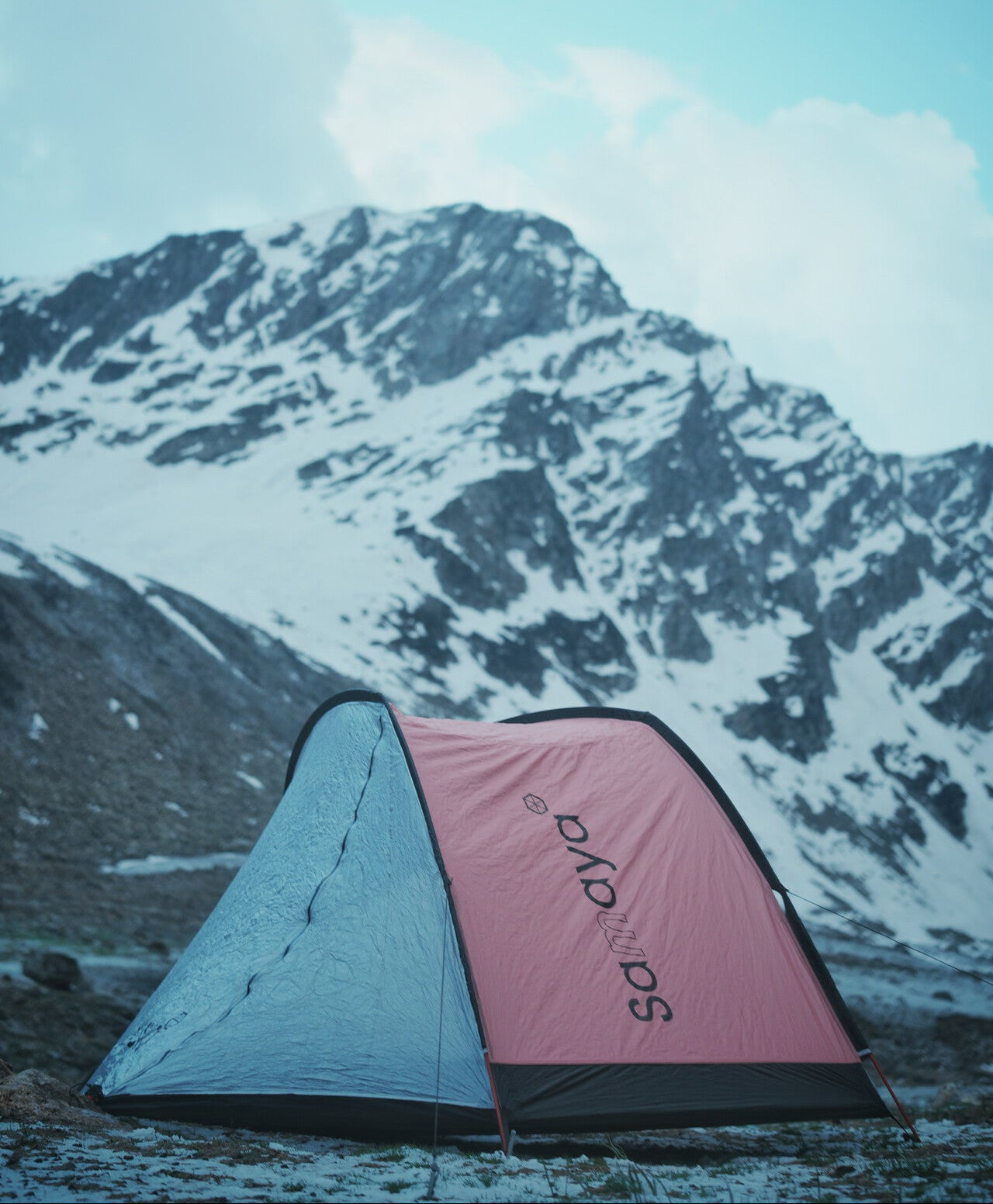 Leophotos_IMG_2100.jpeg_compressed.jpg